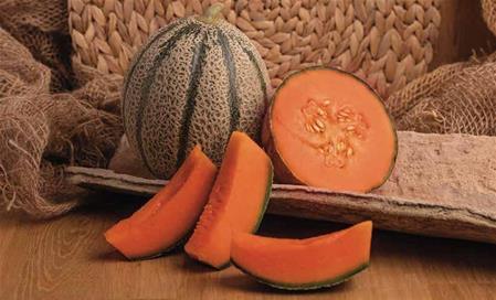 A response to the needs of the melon Minerva F1 market